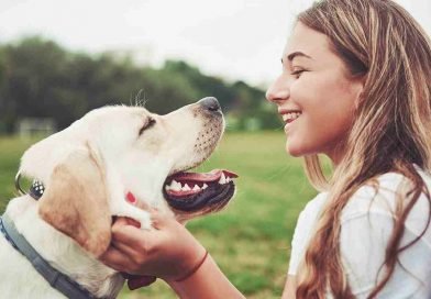 ডগস সুইসাইড ব্রিজ।