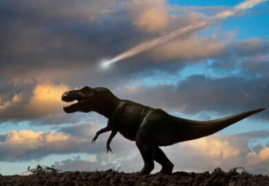 পৃথিবীর কোথায় জুরাসিক যুগের ডাইনোসরের প্রমান রয়েছে?